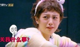 娱乐圈是我的 明星大侦探第五季 吃瓜网每日大赛,明星大侦探第五季吃瓜大赛，揭秘明星幕后故事